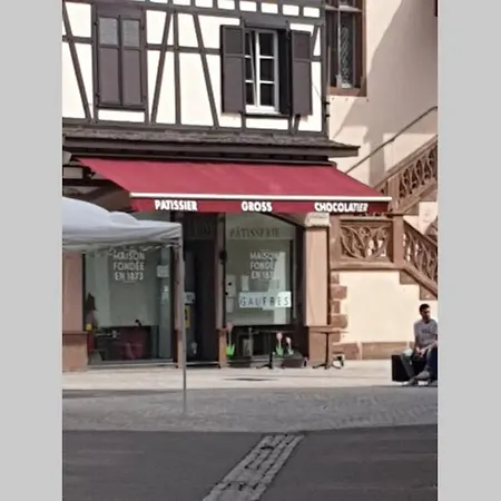 Apartment - 2 - Tres Bel Et Moderne 5pers T3 73m2 Sélestat