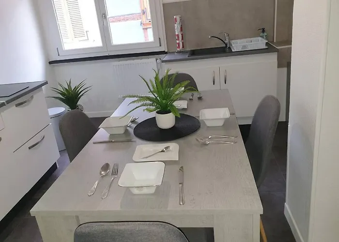 Apartman - 2 - Tres Bel Et Moderne 5pers T3 73m2 Sélestat