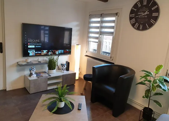 - 2 - Tres Bel Et Moderne 5pers T3 73m2 Sélestat